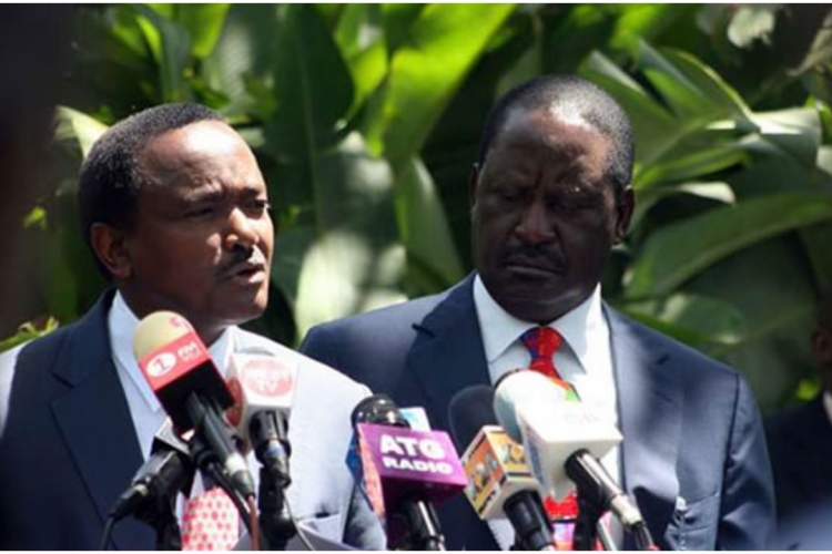 I Will Expose You If You Continue Attacking Me, Kalonzo Tells Raila 