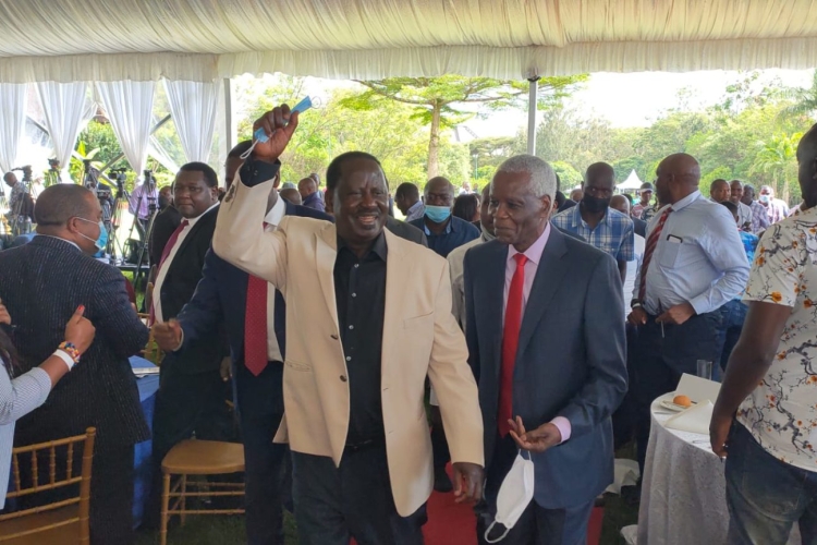 Mt Kenya Tycoons Throw Weight Behind Raila's 2022 Presidential Bid 