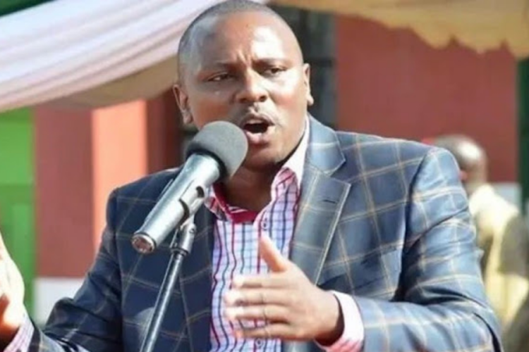 Kiambu Leaders Blast Governor Wamatangi Over "Chicks and Piglets" Project