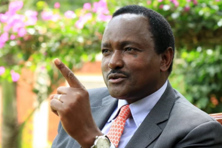 Kalonzo Alleges Ruto's Rigging Plans Ahead of 2027 Polls