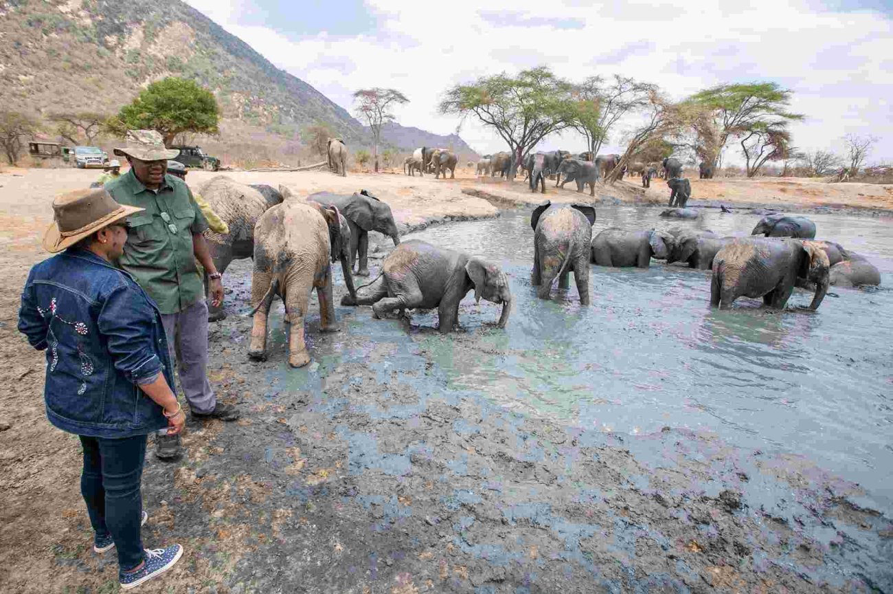 President Uhuru Takes On a Safari Ahead of Supreme Court Election Petition Ruling
