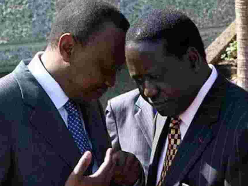 Kenyans in Diaspora Send Message to President Uhuru and Raila