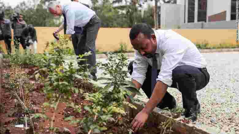 Ethiopia Plants over 300 Million Trees in 12 Hours to Break World Record