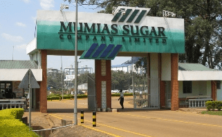 Mumias Sugar Company Fires All 700 Employees