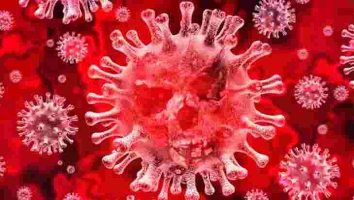 Uproar as French Doctors Say Covid-19 Vaccine Should be Tested in Africa First