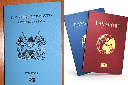 Kenya’s Immigration Department Suspends Passport Applications