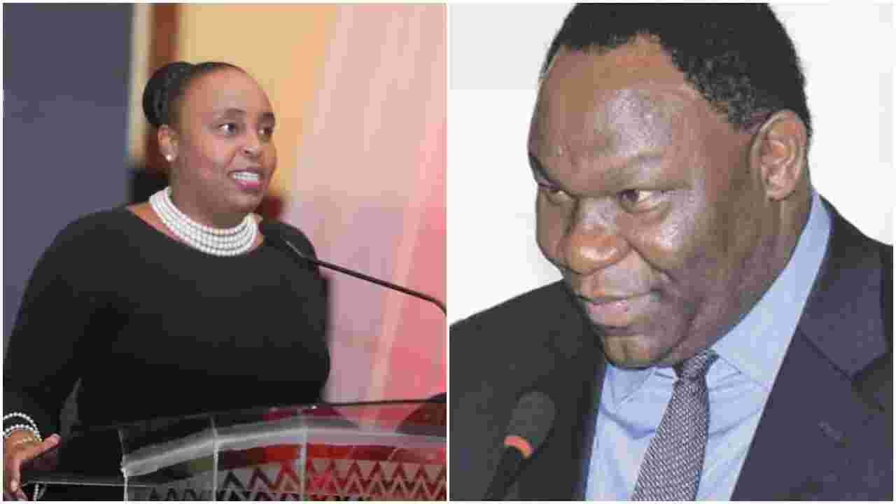Nyeri Deputy Governor Caroline Karugu, Former PS Bitange Ndemo Among 24 Newly Appointed Ambassadors