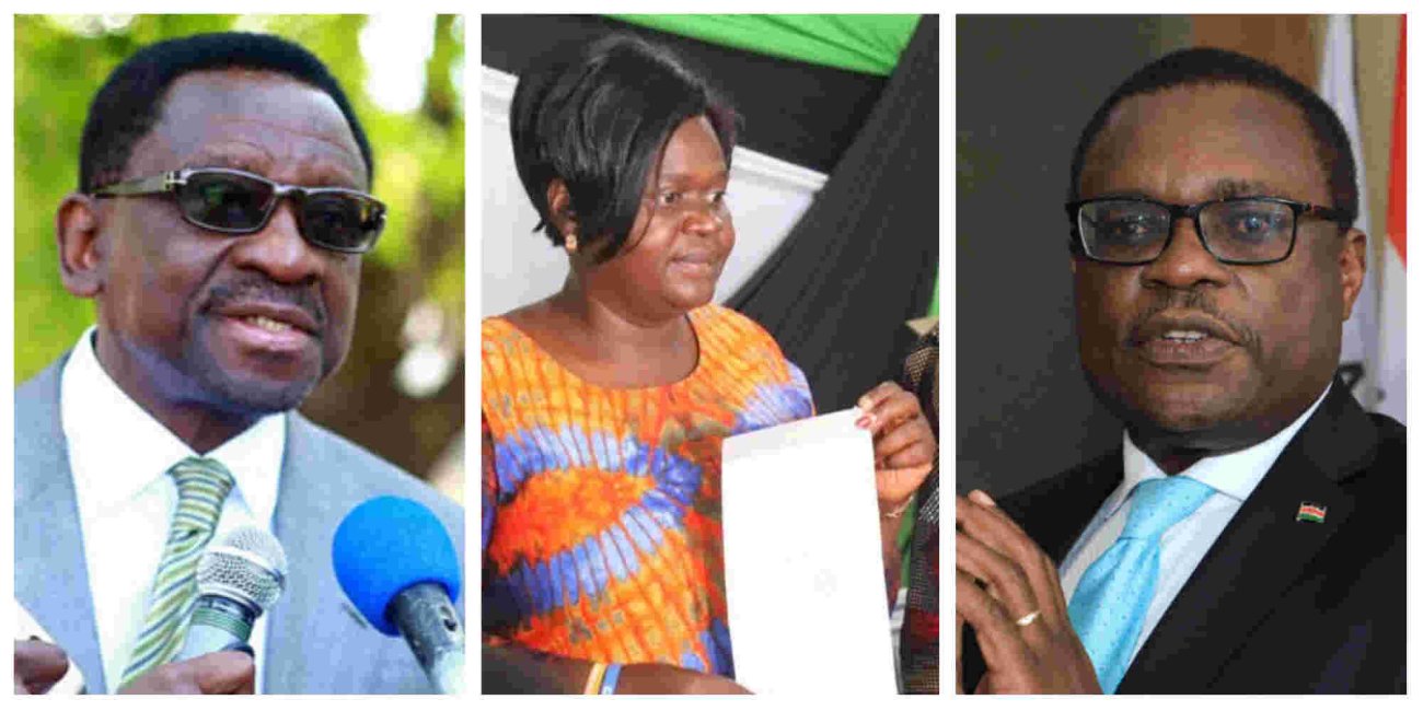 List of Winners for Governor Elections