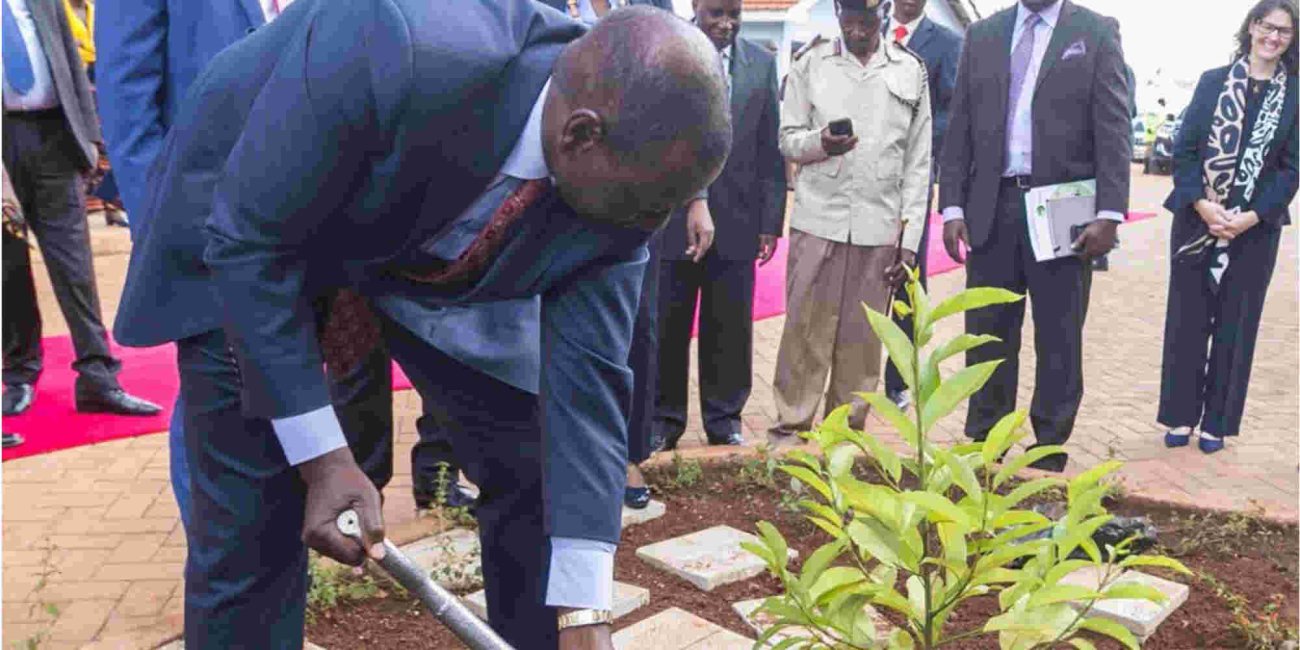 President Ruto Rallies Kenyans to Plant Five Billion Trees to Combat Climate Change