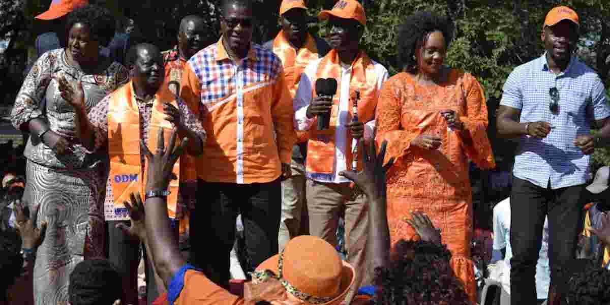 Withdraw Finance Bill, It's Unpopular - ODM MPs Tell State