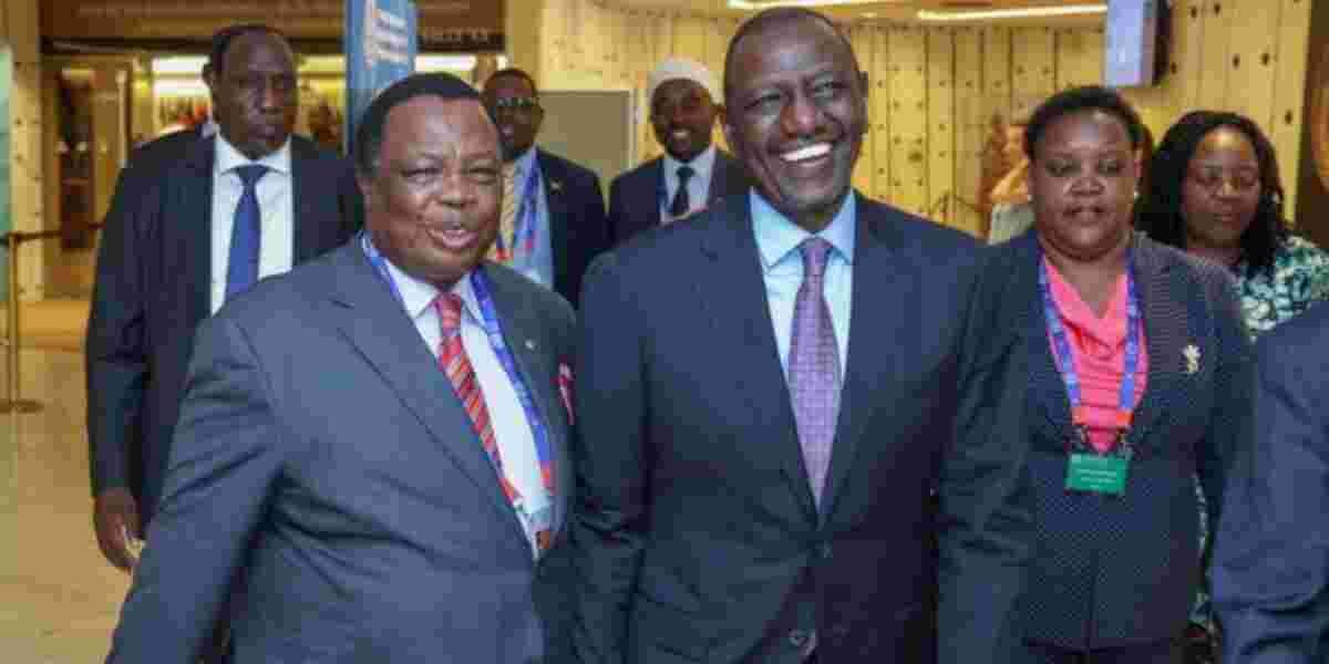 I'm Keen to Create Jobs for Youths, Ruto Tells Diaspora