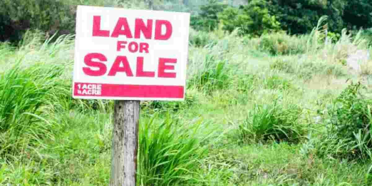 What to Do When the Government Acquires Your Land Compulsorily