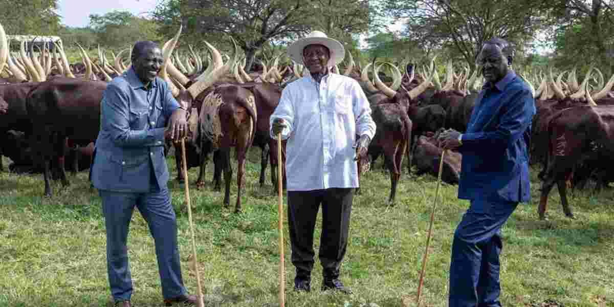 Ruto-Odinga Meeting Sparks Speculation of Political Truce