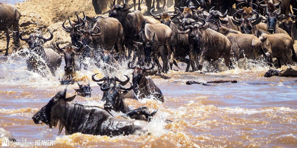 Africa’s Tourism Sector Faces Hurdles in Adopting Digital Technology
