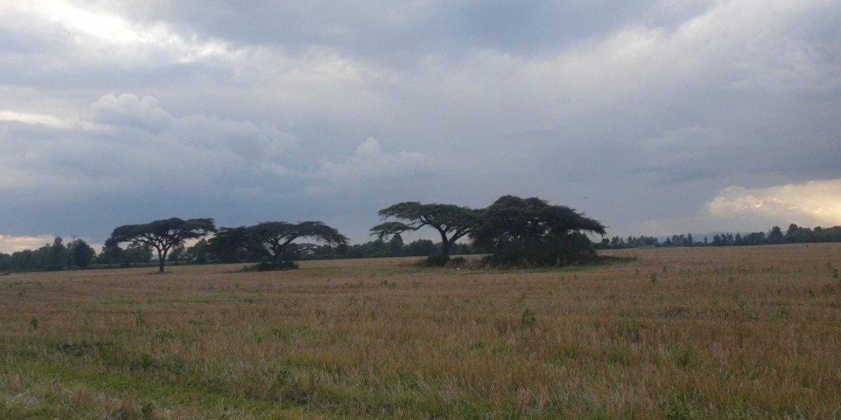 Why More Kenyan Women Are Buying Land