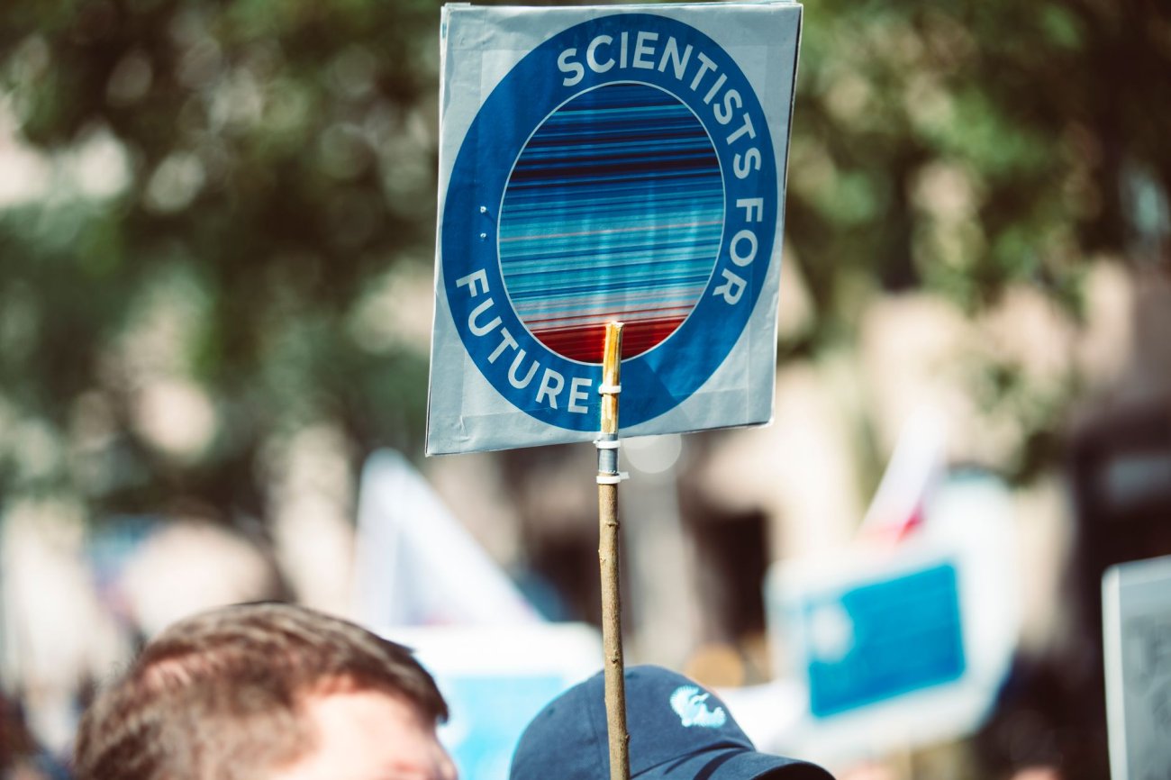 Future Generations at Risk as Global Tree Planting Efforts Lag Behind Targets