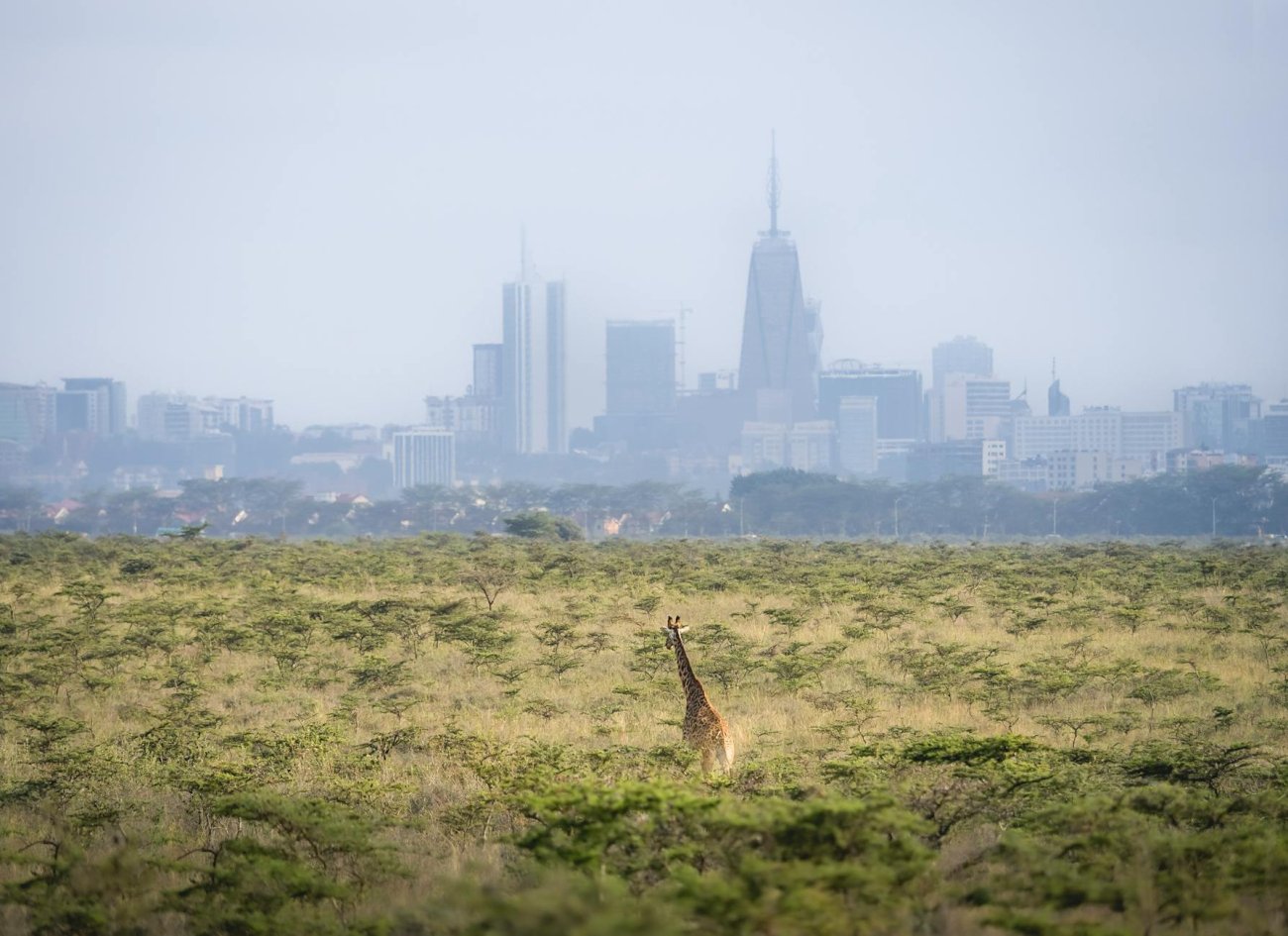 New Regulations for Kenyan Diaspora Tax Reporting to Take Effect in 2026