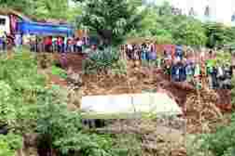 29 School Children Die in Tanzania Road Crash