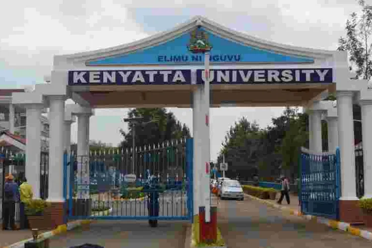 Tanzania Blocks Kenyatta, JKUAT Universities from Admitting Students