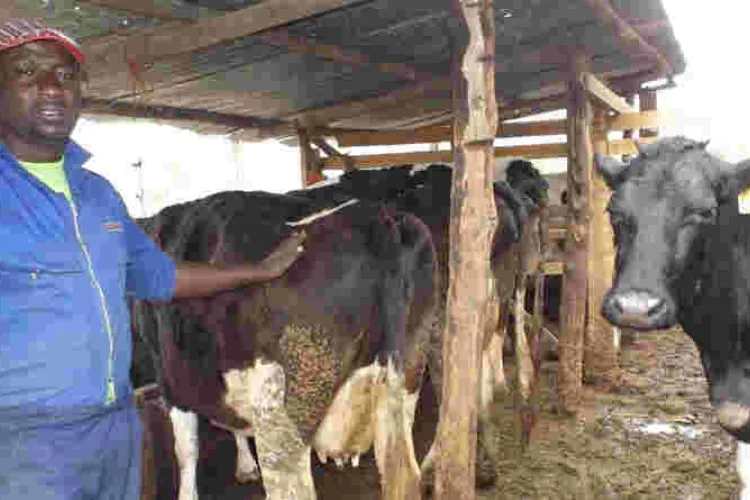 US Firm to Give Kenyans Access to Online Agricultural Data