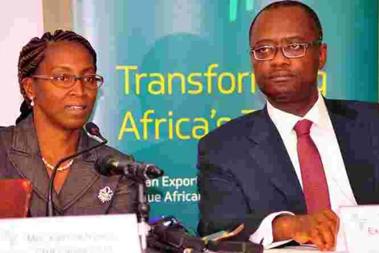 Afreximbank Courts Kenya's High Net Worth Individuals with Sh31 Billion Shareholding Deal