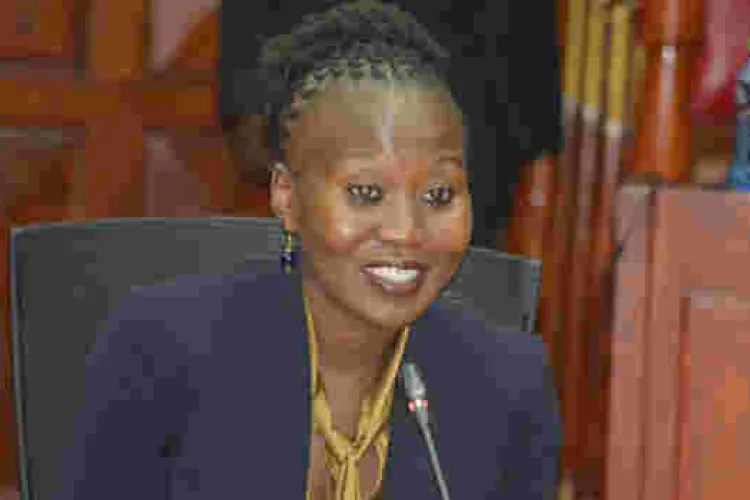 Former IEBC Commissioner Roselyn Akombe Opens Up about Her Life in the US