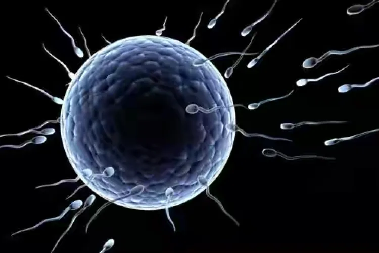 Kenyan Men Selected for Global Trial of a Male Birth Control Gel 