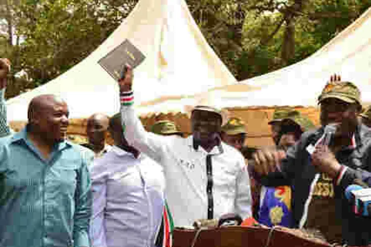 Kenyan Diaspora Group Sends Delegation to Raila's Swearing-in Ceremony