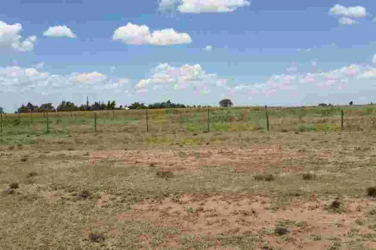 Gov't to Impose Taxes on Idle Land in Kenya