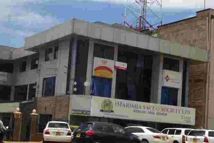 From Sh5 Fee to Assets Worth Billions: The Success Story of a Kericho-Based Sacco