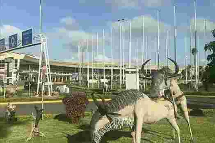 Self-Declared Kenyan 'Moral Police' Ezekiel Mutua Wants 'Sexually Suggestive' Wildebeests Sculpture Removed from JKIA