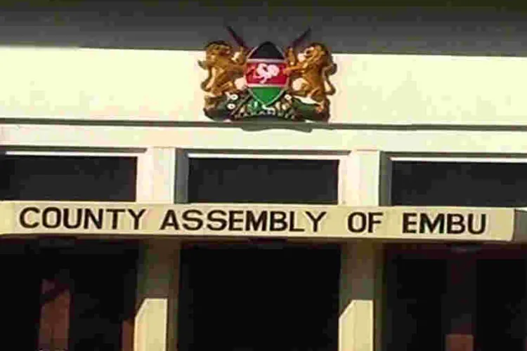 Embu Majority Leader Defends Allocation of Sh11 Million Gym Fees for 'Overweight' MCAs