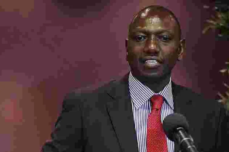 DP William Ruto Reacts to 'Hatuna Deni ya Mtu' Viral Song, Rift Valley Leaders Outraged [AUDIO]
