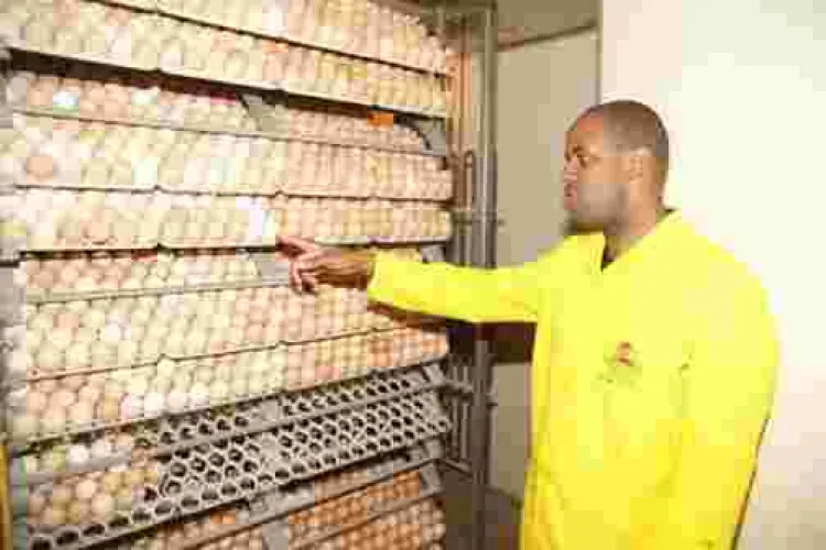 Meet Tony Kiragu, a Kenyan Who Has Built a Sh20 Million Agri-Business after Ditching Lucrative Job in the US