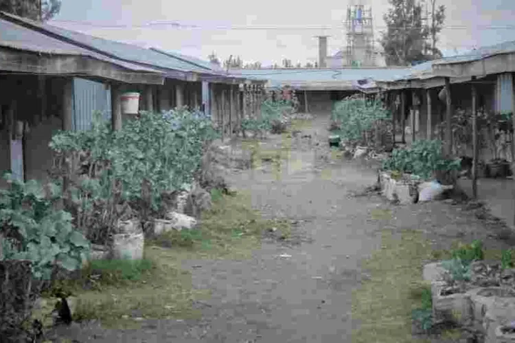 Inside President Uhuru Family's Mabati-Made Estate that Rakes in Millions Per Year