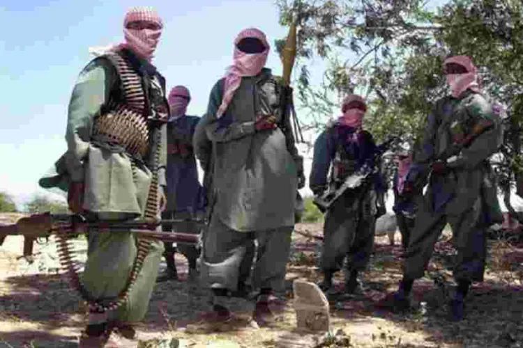 Fresh Airstrike by US Forces Kills 13 Al-Shabaab Fighters