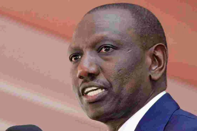 Why Deputy President William Ruto Cancelled Meeting with Kenyans in the Diaspora