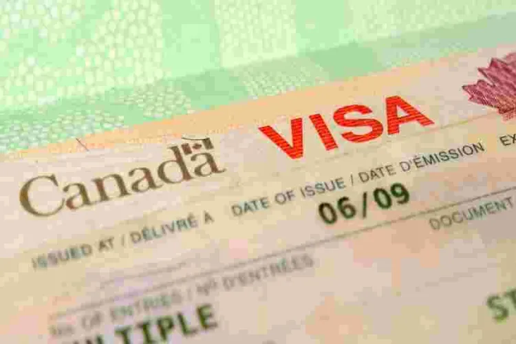 Agency Warns of Fraudsters Selling Fake Canadian Visas, Jobs to Kenyans