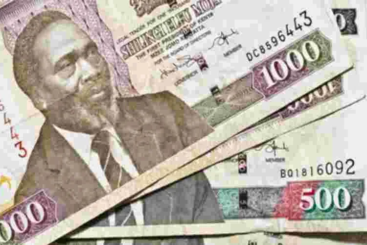 Central Bank of Kenya Accused of Overvaluing Kenya Shilling by 30 Percent