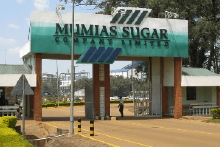 Mumias Sugar Company Fires All 700 Employees