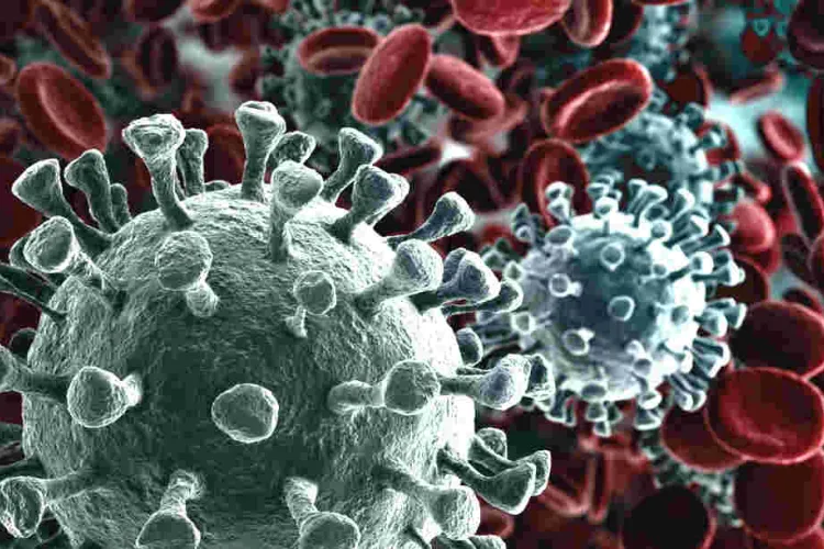 Nigeria Registers its First Coronavirus Death