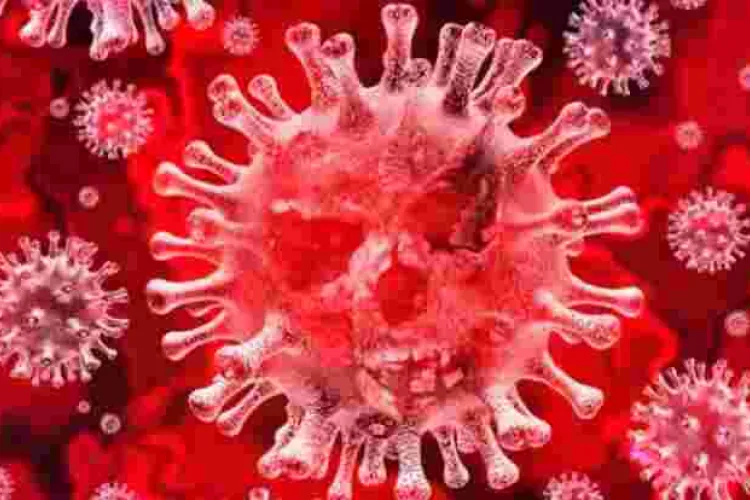Uproar as French Doctors Say Covid-19 Vaccine Should be Tested in Africa First 