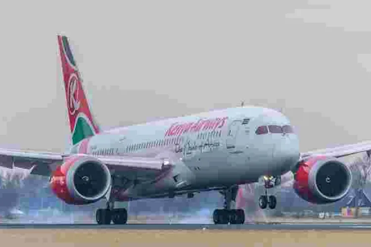 Senate Team Wants Kenyans Stranded Abroad Amid Covid-19 Crisis Evacuated for Free