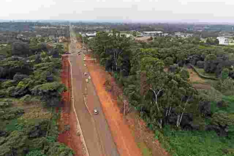 Kenyans Warned Against Buying Land Around Ngong Road Forest