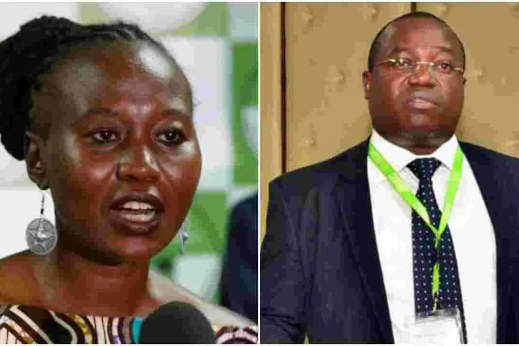 I'm Ready to Testify in Chris Msando Murder Case, Roselyn Akombe Says 