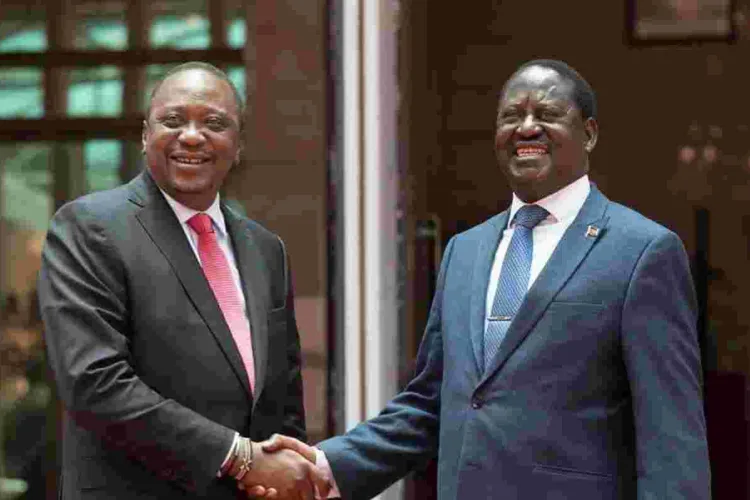 Diaspora Lobby Wants Release of Final BBI Report Suspended  