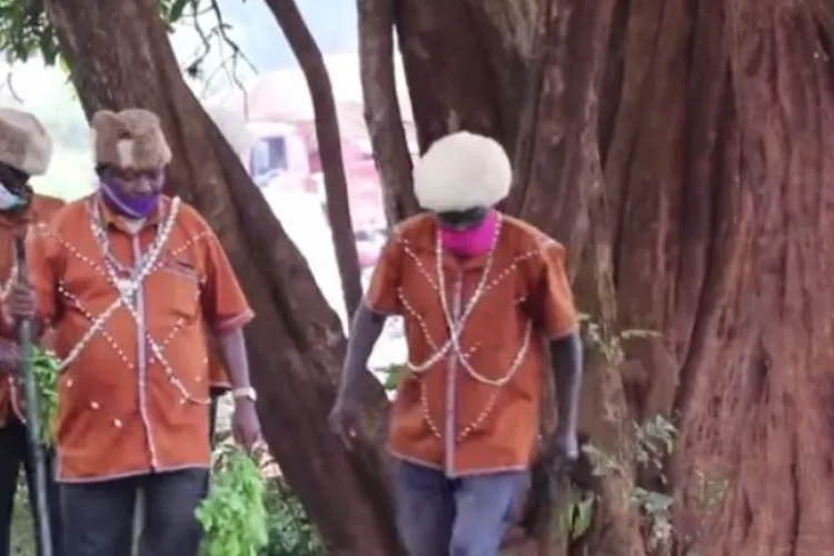 Kikuyu Elders Beg Trees to Accept Being Cut to Pave Way for Road Construction