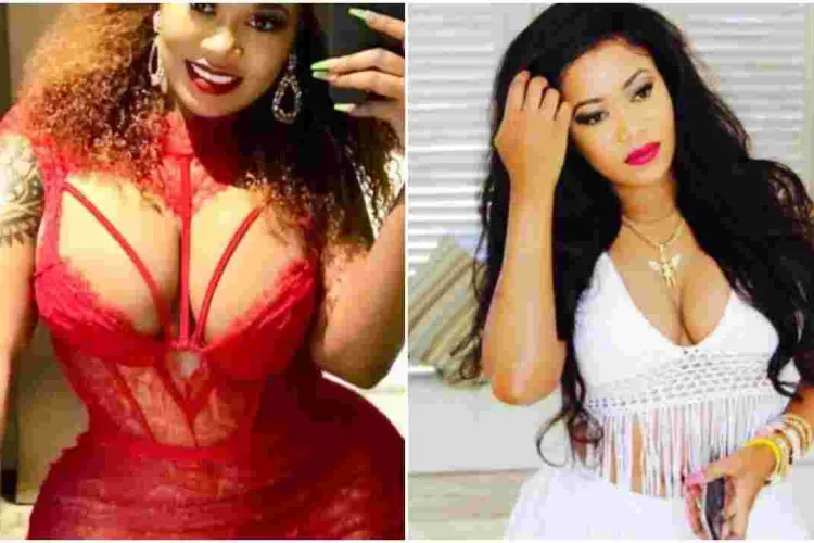 Socialite Vera Sidika Admits to Enlarging Her Breasts, Says the Surgery was Done in US for Sh2 Million  