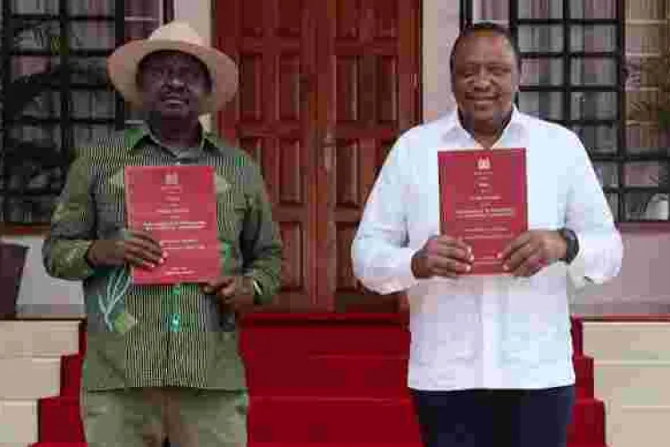 Kenyans in the Diaspora Express Displeasure with BBI Report 