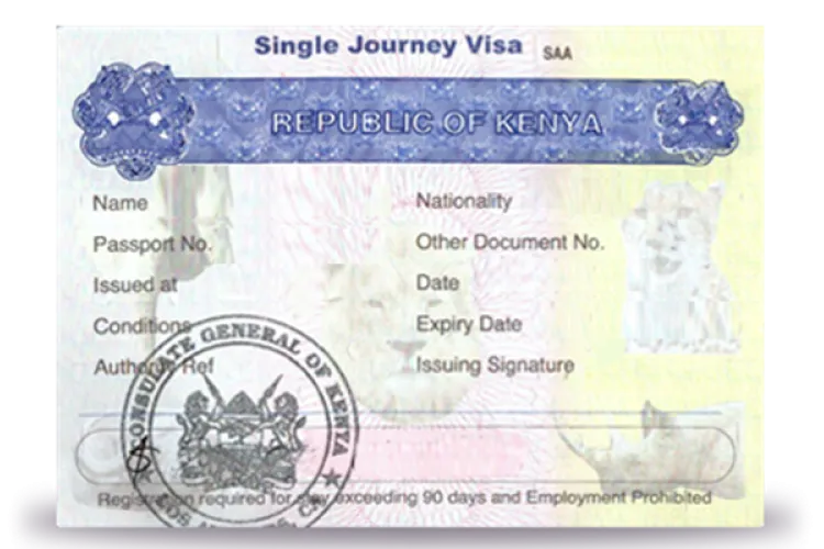 Kenya Announces Complete Switch to e-Visa Starting in January, 2021 